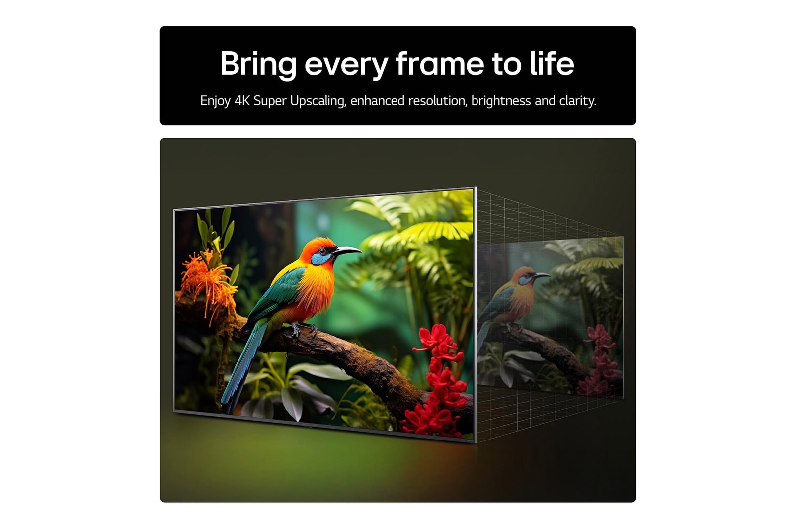 Bring every frame to life