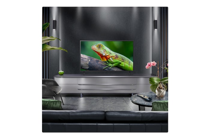 Perspective from the inside of a cave looking out to its entrance where a blue sky and horizon can be seen. The whole scene is split in half to show the capability of QNED's Advanced Local Dimming. On one side, the colors and detail are washed out and the visuals seem muddy. The label says, Conventional LED. The other side has great blacks, better contrast, brightness and color.