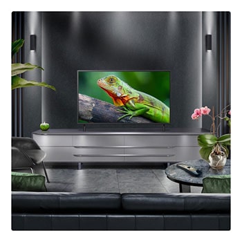 Perspective from the inside of a cave looking out to its entrance where a blue sky and horizon can be seen. The whole scene is split in half to show the capability of QNED's Advanced Local Dimming. On one side, the colors and detail are washed out and the visuals seem muddy. The label says, Conventional LED. The other side has great blacks, better contrast, brightness and color.