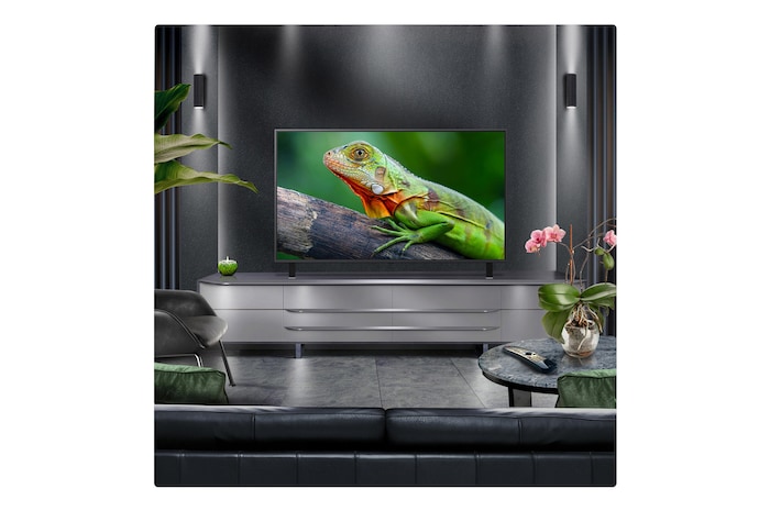 Perspective from the inside of a cave looking out to its entrance where a blue sky and horizon can be seen. The whole scene is split in half to show the capability of QNED's Advanced Local Dimming. On one side, the colors and detail are washed out and the visuals seem muddy. The label says, Conventional LED. The other side has great blacks, better contrast, brightness and color.