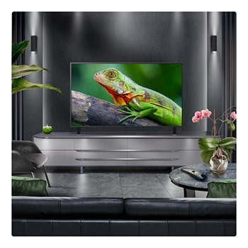 Perspective from the inside of a cave looking out to its entrance where a blue sky and horizon can be seen. The whole scene is split in half to show the capability of QNED's Advanced Local Dimming. On one side, the colors and detail are washed out and the visuals seem muddy. The label says, Conventional LED. The other side has great blacks, better contrast, brightness and color.