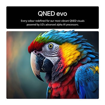 Front view and side view of LG QNED evo AI 4K Smart TV showing its length, width, height, and depth dimensions.