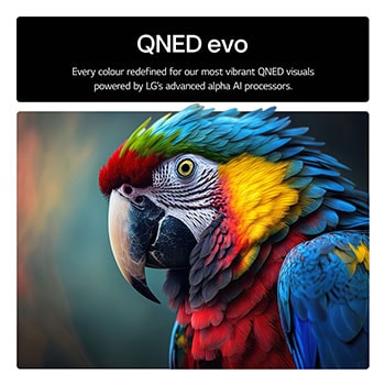 USP QNED evo