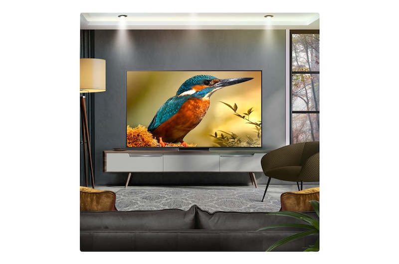 Parrot on a tree branch in vivid color. The title talks about how LG Al Picture Pro made impressive visual enhancements to the scene's resolution, brightness, depth, and clarity.