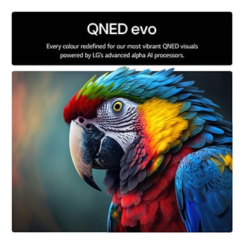 Splashes of paint burst from the floor up in diverse colors. Intertrek certification for 100% Color Volume to DCI-P3. The title talks about LG’s new and unique wide color gamut technology that allows you to see vivid color on your screen.