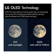 LG OLED evo C2 83 inch TV 2022, OLED83C24LA