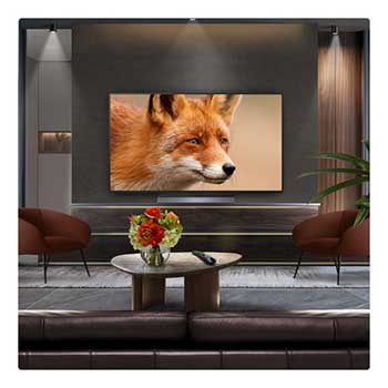 Campfire at night in the middle of nature. In the distance is a forest and lake. The evening sky is filled with stars. The whole scene is split in half. One side is darker and duller. The other half is remarkably brighter, showcasing the impressive brilliance from Brightness Booster.