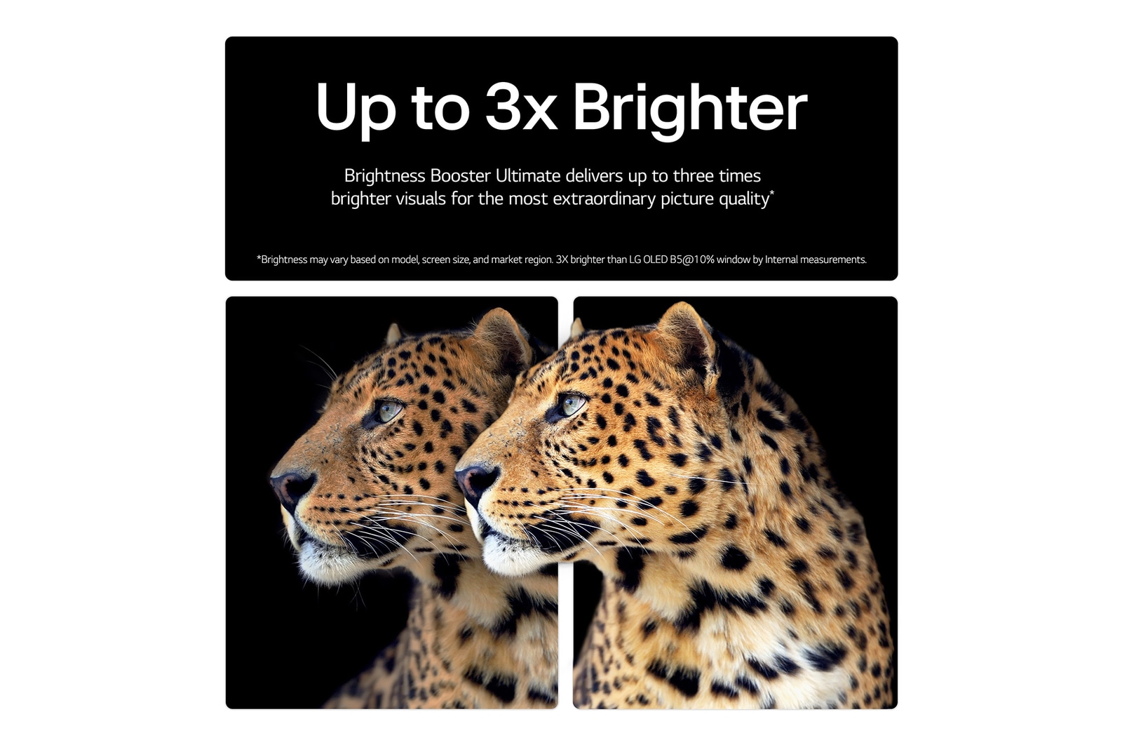 alpha 11 AI Processor Gen2 is against a dark background. It glows with purple and blue light from within illuminating the microchip circuits around it. The title talks about how the processor that is dedicated to LG OLED evo delivers 4K quality, stunning color and brightness with pixel-level precision. Performance statistics are visible. 6.7 times greater AI neural processing, NPU. 2.2 times faste