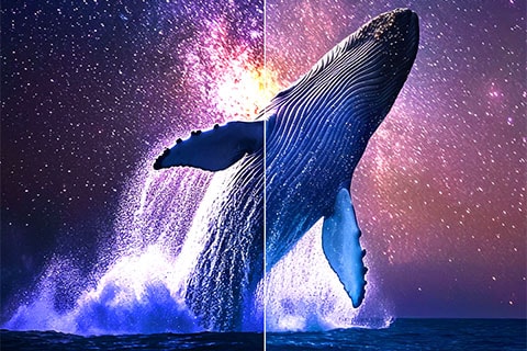A whale jumping out of the water before a starry night sky. Above the whale is the phrase "up to 150% brighter".