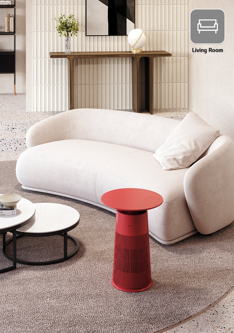 Có một sản phẩm nổi bật màu đỏ đặt giữa ghế sofa và bàn. Sản phẩm đó đang trở thành một điểm gợi cảm trong nội thất của phòng khách.