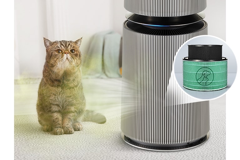 Sản phẩm giúp bầu không khí trong nhà trở nên dễ chịu bằng cách khử mùi hôi ở mèo