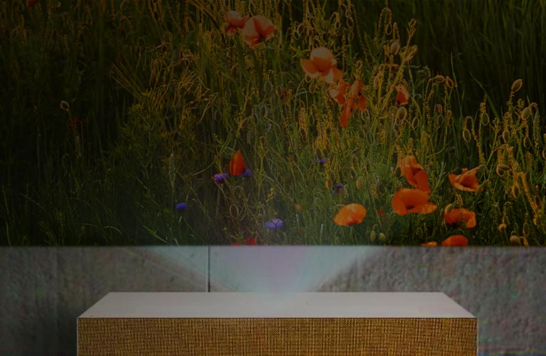 Tối ưu độ sáng II.