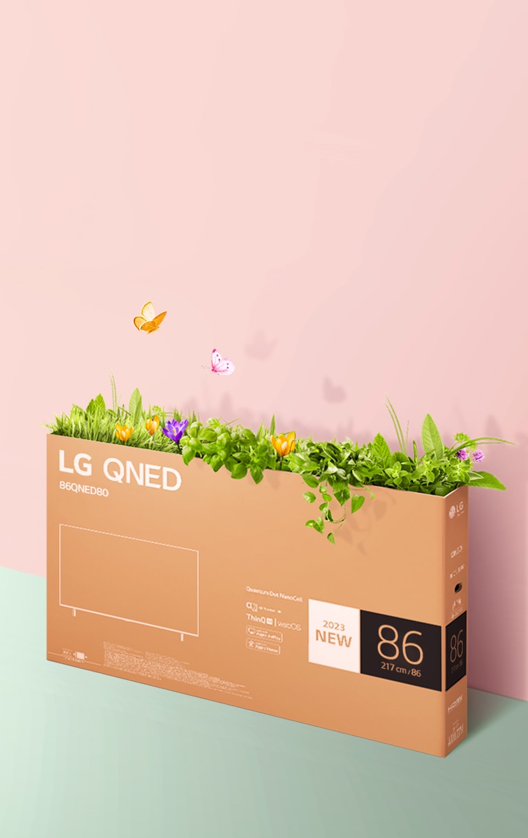 Một hộp đóng gói QNED được đặt trên nền màu hồng, xanh lá cây và có cỏ mọc và bướm mọc ra từ bên trong của nó.