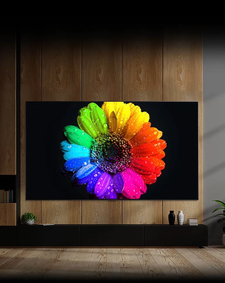 Đèn Mini LED bên trong TV sáng lên và lấp đầy toàn bộ màn hình TV và cuối cùng biến thành hoa rất nhiều màu sắc trên TV.