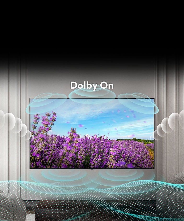 Màn hình TV QNED hiển thị một bông hoa màu hồng hạt cải dầu trên cánh đồng mùa hè và dòng chữ ở giữa ghi Dolby OFF. Hình ảnh trong màn hình trở nên sáng hơn và văn bản chuyển sang bật dolby.