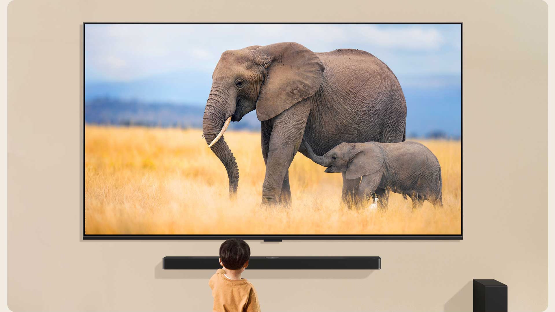 TV LG 98QNED89TSA màu sắc tươi mới