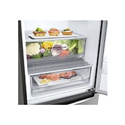 LG 341L Wide Bottom Freezer with DoorCooling⁺™ in Stainless Finish, GC-B459NLXM