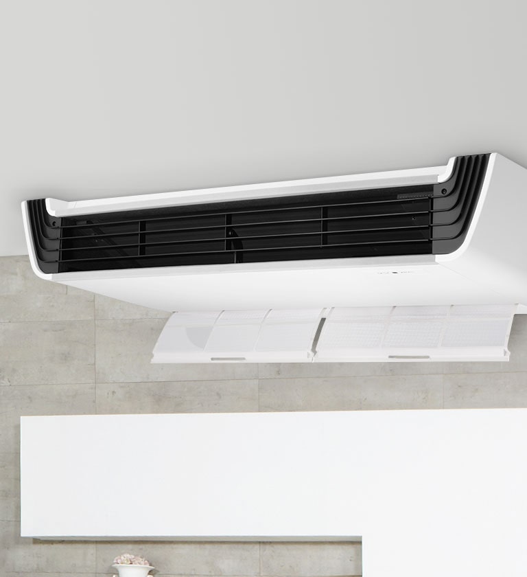 Filtro de fácil remoção1