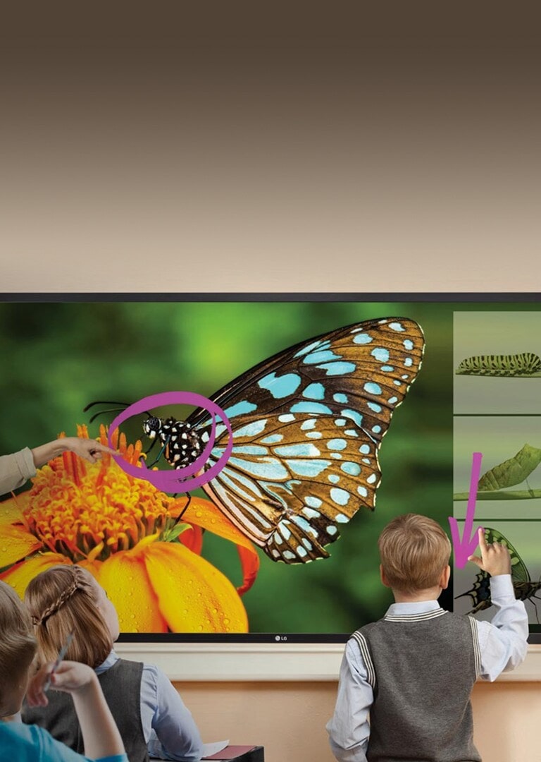 ID_02_Education_Hero_1461288543616