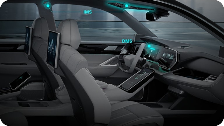 Automotive Vision System
