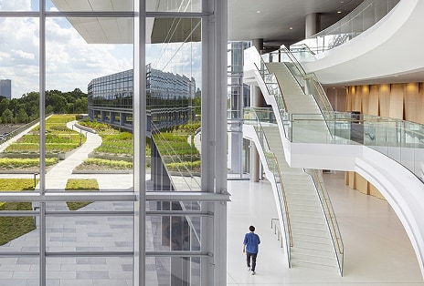 Sustainable building environment designed for energy efficiency and decarbonized operations