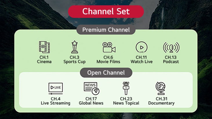 TV channels provided by the solution can be categorized into groups based on their types. This includes setting up both standard TV channels and additional channels exclusive to premium customers.