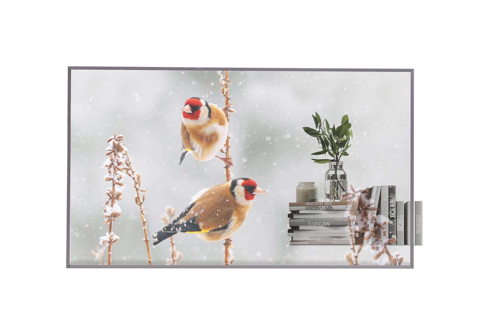 LG 55EW5P-M transparent-oled-displays Front view