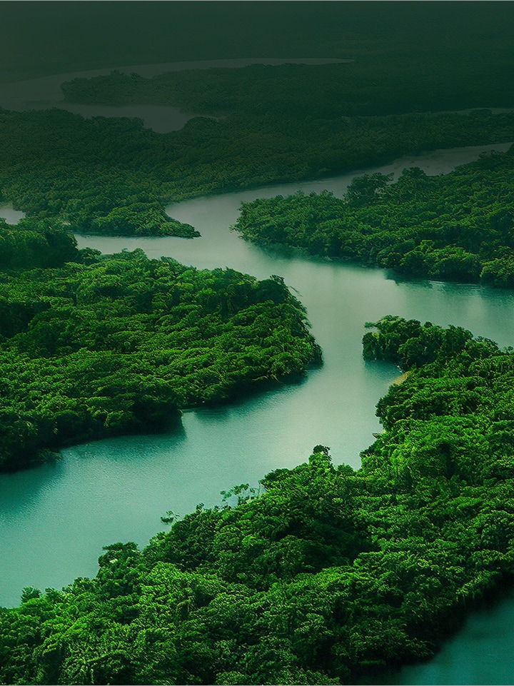 LG ‘Better Life for All’ sustainability banner showcasing a lush forest and flowing river, reinforcing LG's commitment to a more sustainable future.