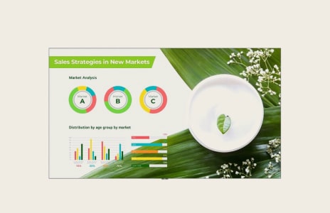 Business presentation displaying sales strategies and colourful market analysis charts alongside natural elements that reinforce sustainable branding.