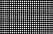 MiniLED 40x menor