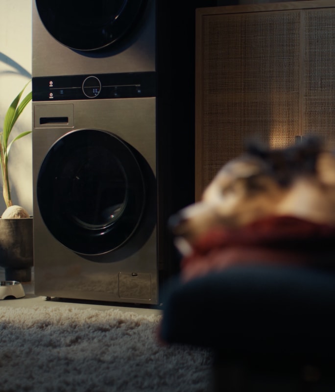 Ein Hund, der bequem vor dem LG Washtower mit DirectDrive-Technologie schläft.