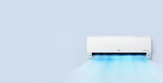 LG-Kühlschränke LG Gefrierfach: mit lagern DE | optimal