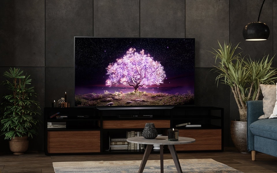 A colourful tree image is shown on a LG OLED TV in a contemporary living room