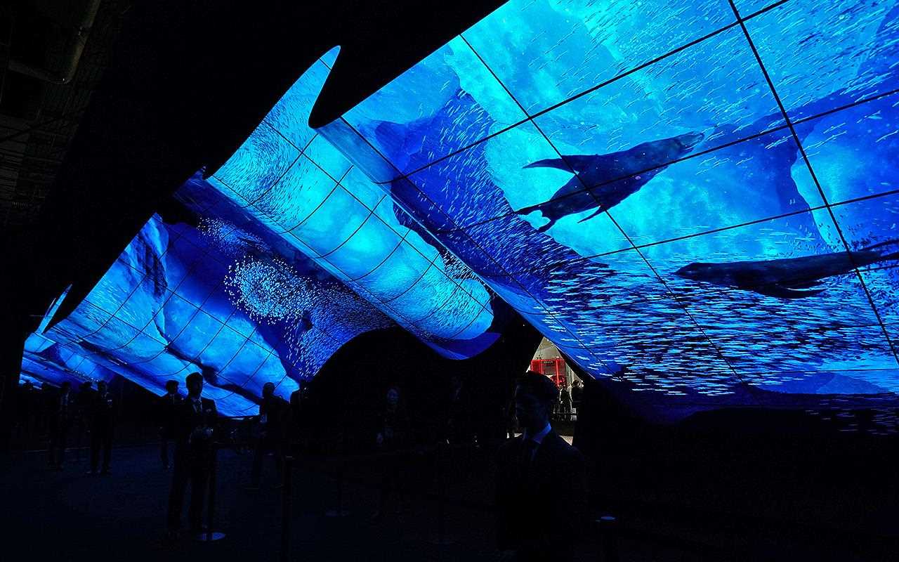 Connected flexible OLED panels show off stunning scenery.