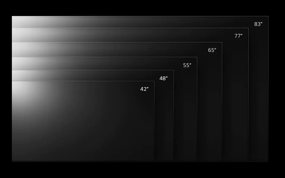 Diagram of different screen sizes in the LG OLED evo range