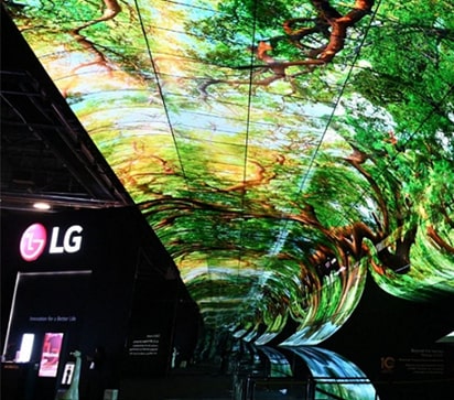 An image containing trees is shown on the screen of the LG OLED that fills the ceiling and walls.