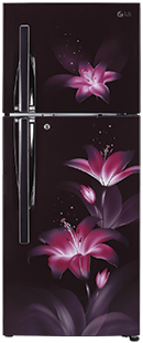 LG GL-T302RPGU Double Door Refrigerator