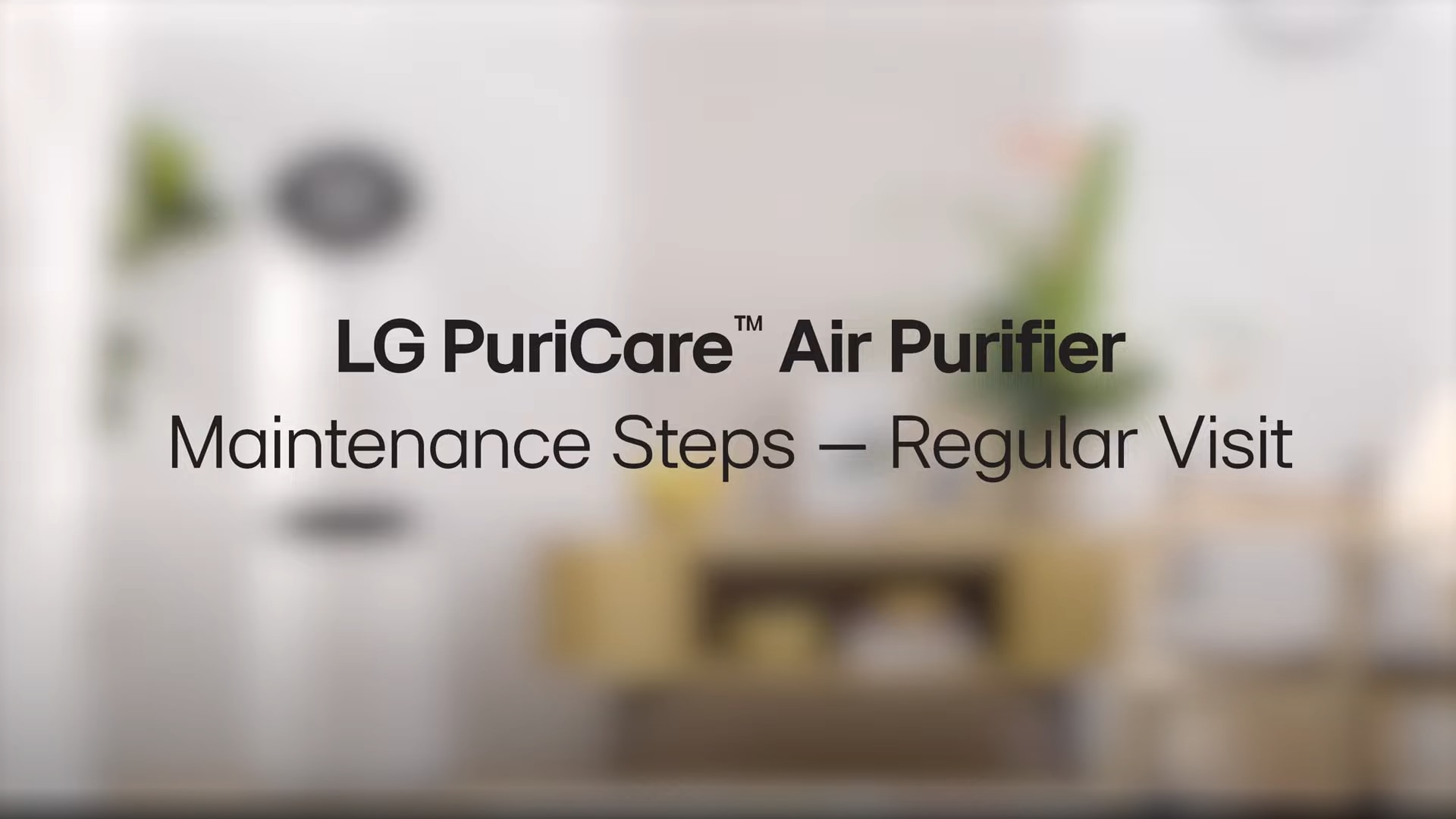 Air Purifier Care Service