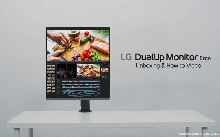 LG Dualup monitor 