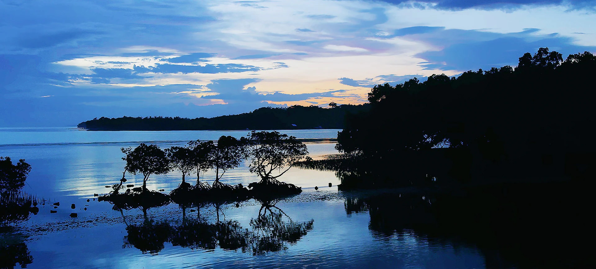 Nano Black, Intense Contrast dzięki pełnemu wygaszaniu