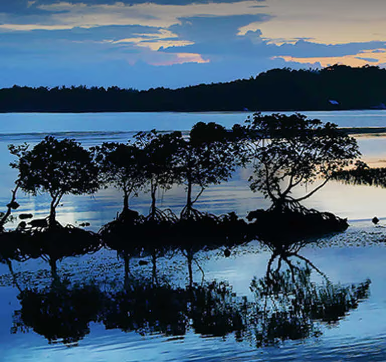 Nano Black, Intense Contrast dzięki pełnemu wygaszaniu