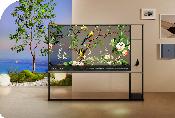 Images of birds, flowers and trees float across the LG OLED T's transparent screen, merging the screen with nature outside.