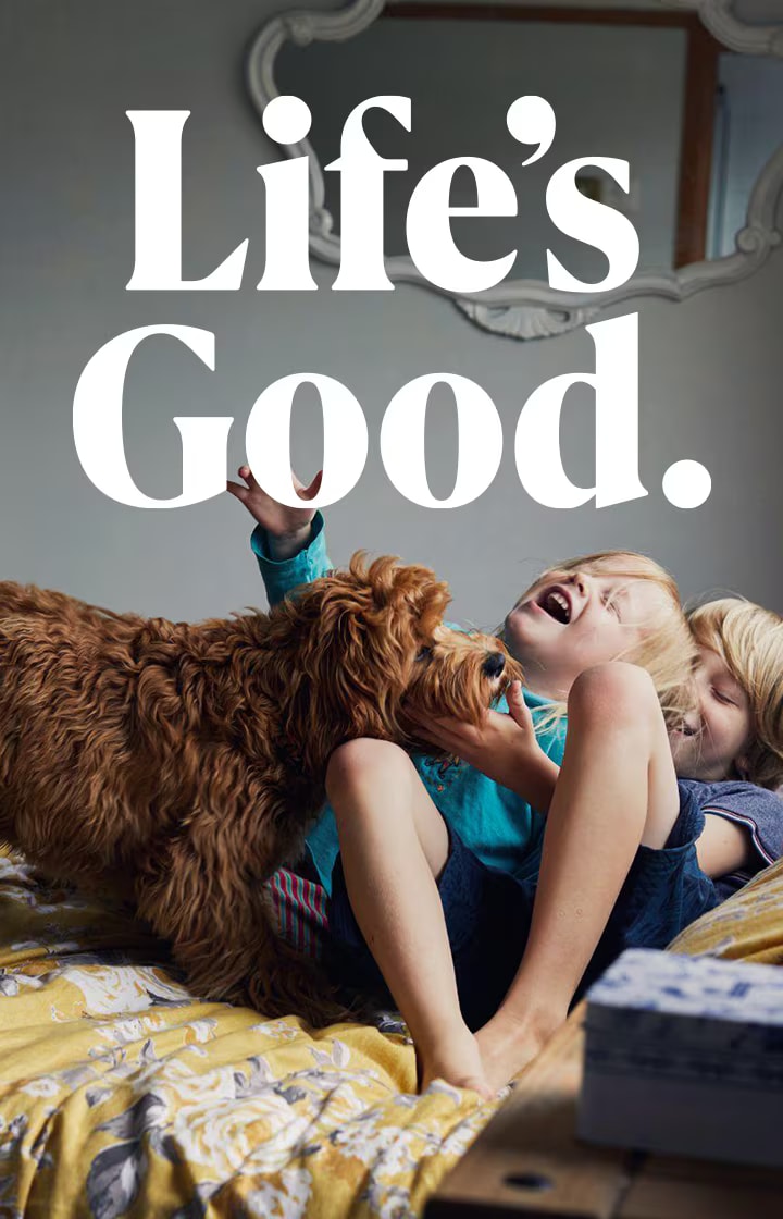 Two young boys are lying side by side on a bed, both with warm smiles on their faces, as they cuddle a friendly dog between them.