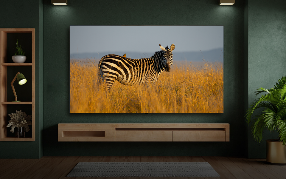 fw8-lg-experience-our-stories-lg-sustainable-future-eco-design-zebra-oled.png