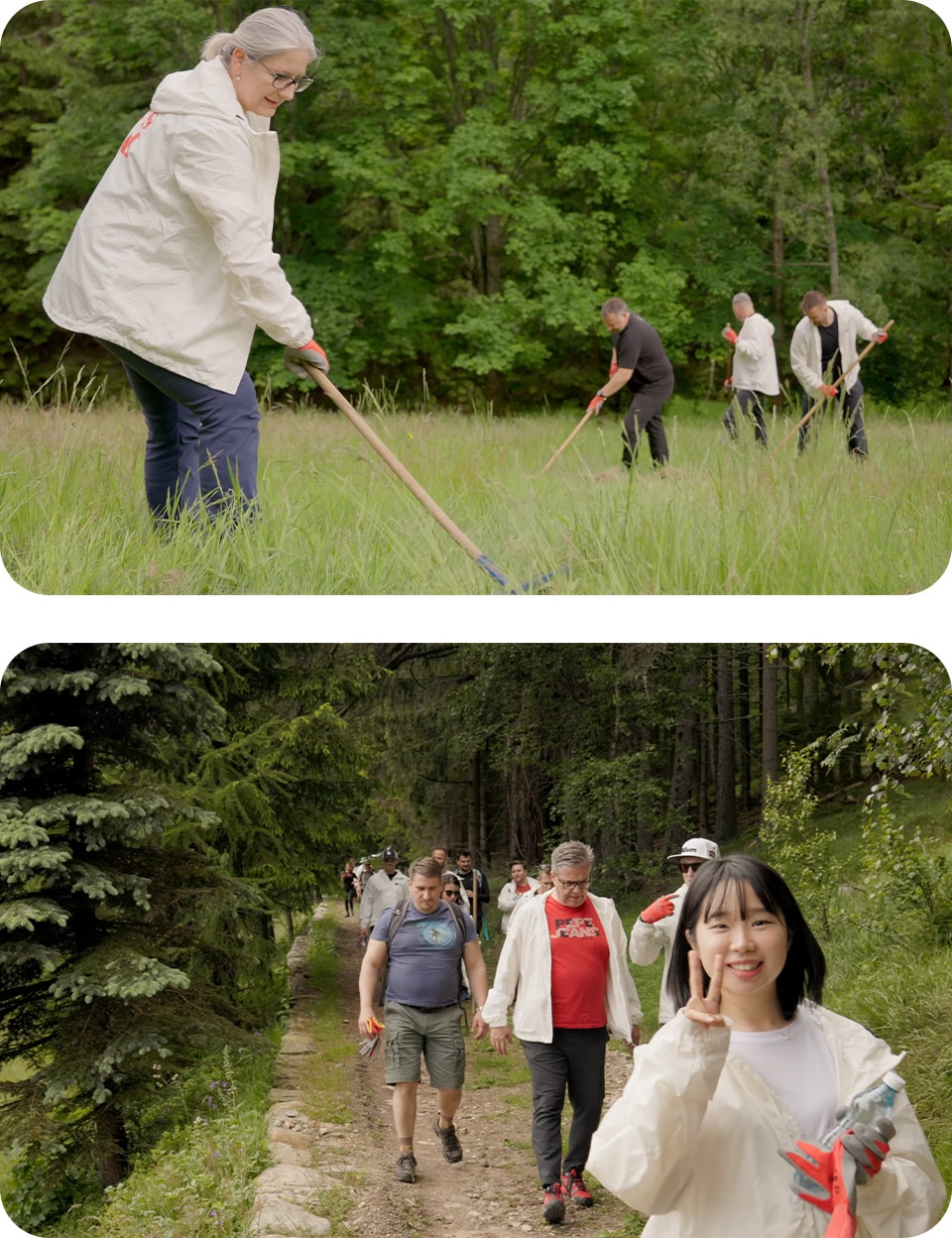 LG Electronics corporate social responsibility LG Czech Republic rehabilitation of forest stands in Krkonose National Park