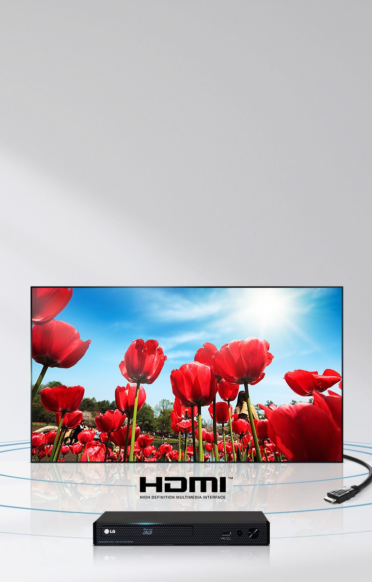 LG LED TV 32