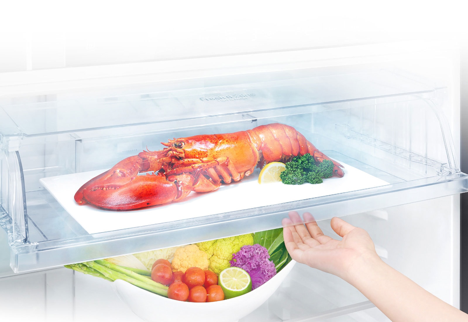 Save time for defrosting<br />1″ width=”598″ height=”411″></span></span></span></div>
<div class=