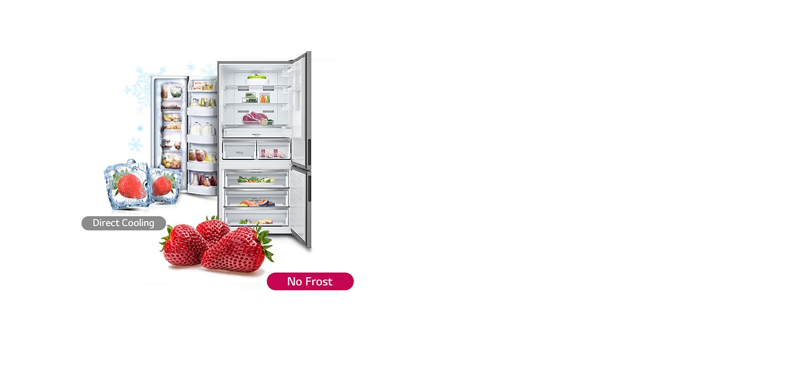 Expressing the function of a frost-free refrigerator with strawberries