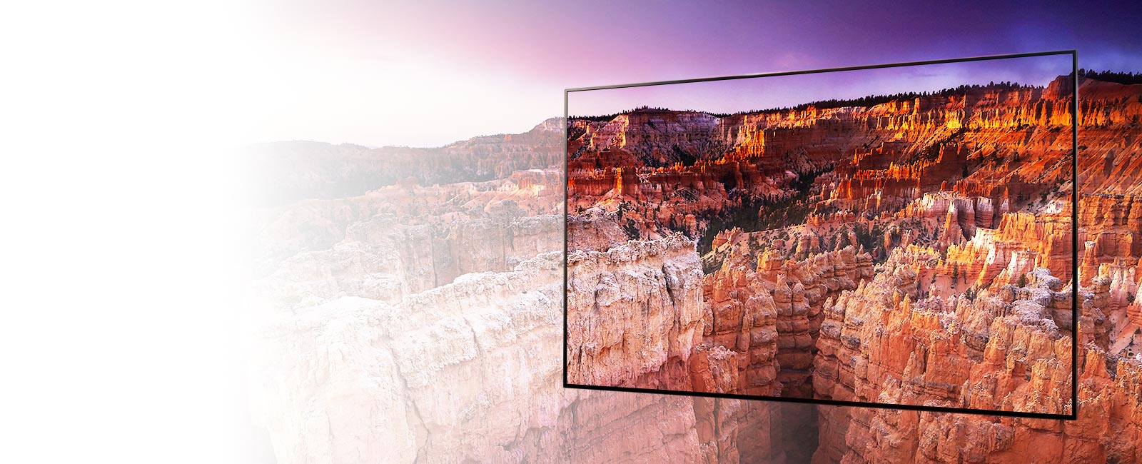 Find out more about LG OLED reliability