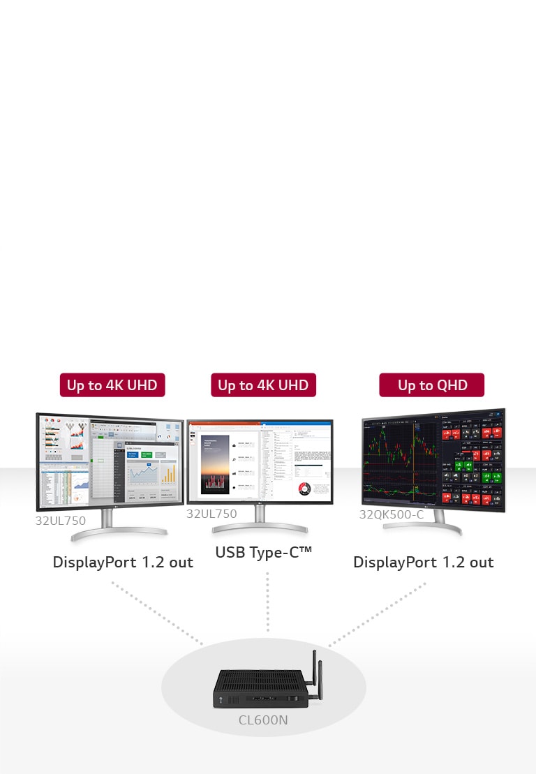 LG CL600N: Box Type Thin Client | LG Global Business